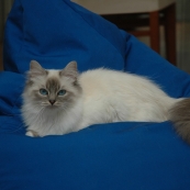 DSC_0001.JPG