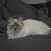 DSC_0001FC-ZW-w.JPG